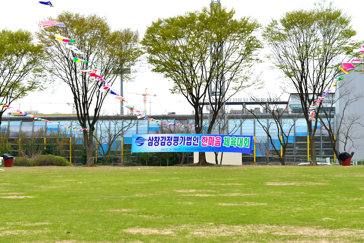 DSC_7940.JPG